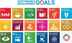 Figure illustrating the UN Sustainability Development Goals.